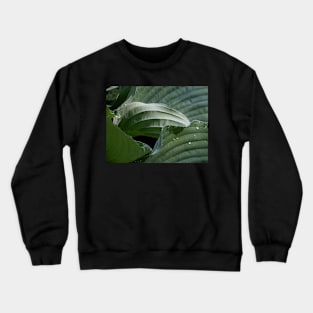 Rolling Green Waves Crewneck Sweatshirt